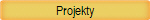 Projekty